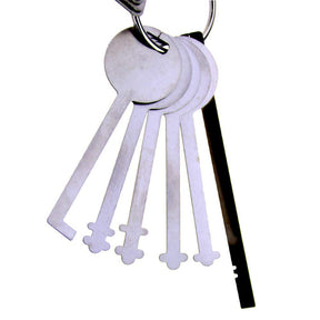 Car Jiggler Lock Pick Set, 16 Piece Full Master Key for Auto Car, Multi-Purpose Key for Car Doors, Auto Jiggler Lock Pick Set and Repair Tools (16 pcs, Silver White)